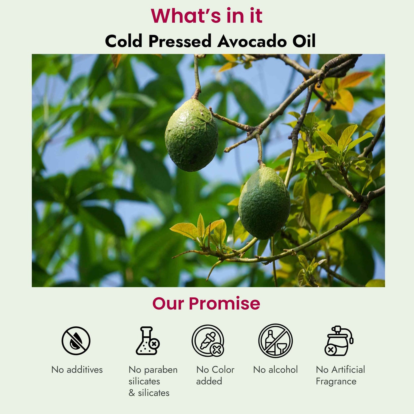 Avocado Oil for Dry Hair, Skin Hydration
