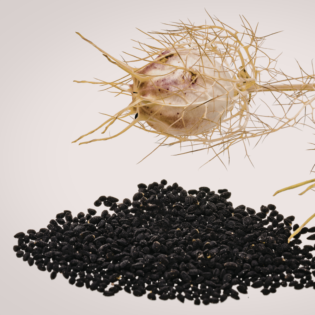 Kalonji Oil for Hair: Benefits & 3 Easy Ways to Use It - SECRET TATTVA