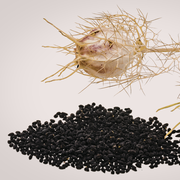 Kalonji Oil for Hair: Benefits & 3 Easy Ways to Use It