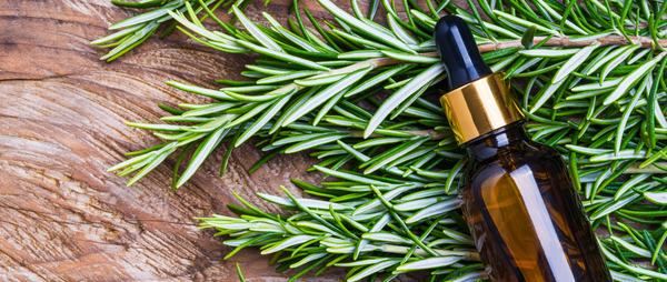 Rosemary Oil - Hair Growth, Natural Hair Fall Remedy: Benefits, Uses, and Evidence