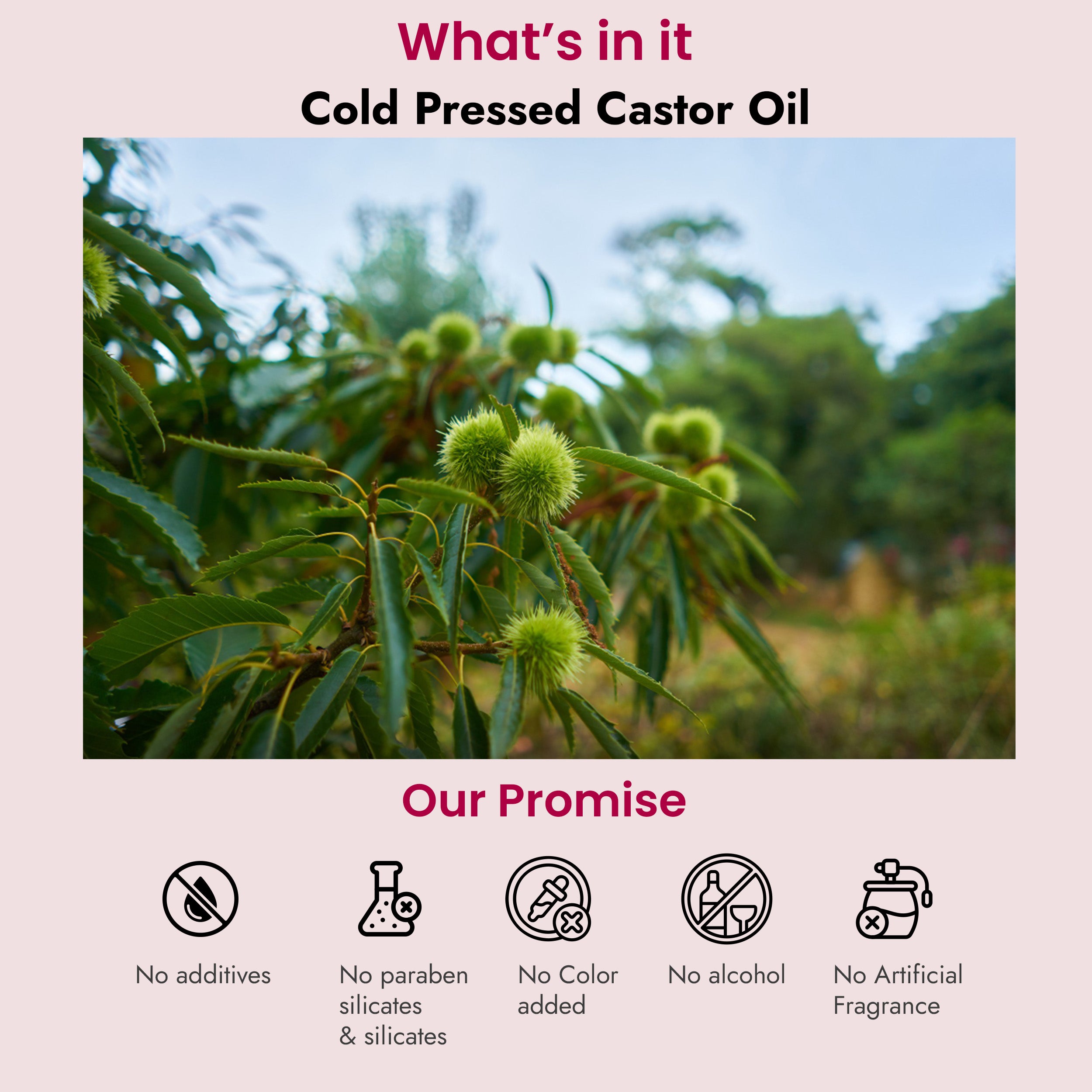 Castor Cold Pressed Oil