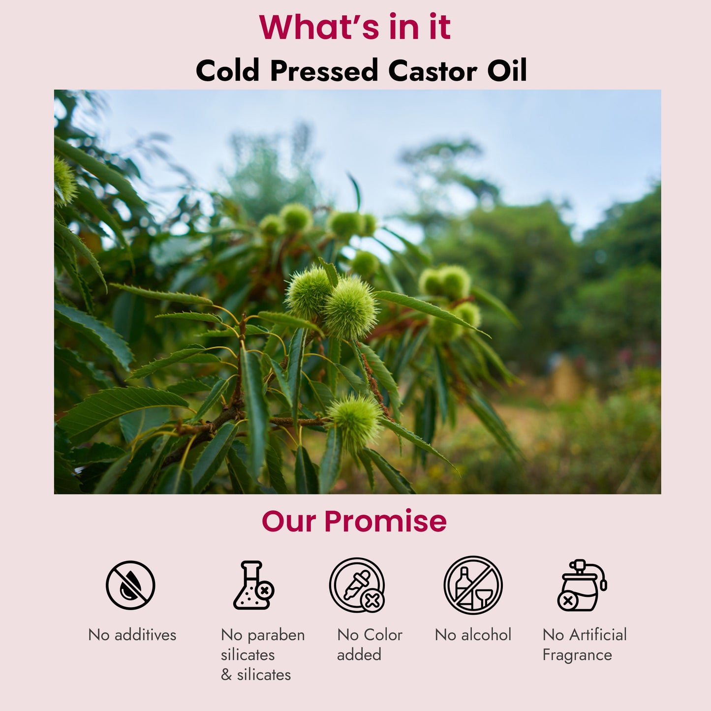 Castor Cold Pressed Oil