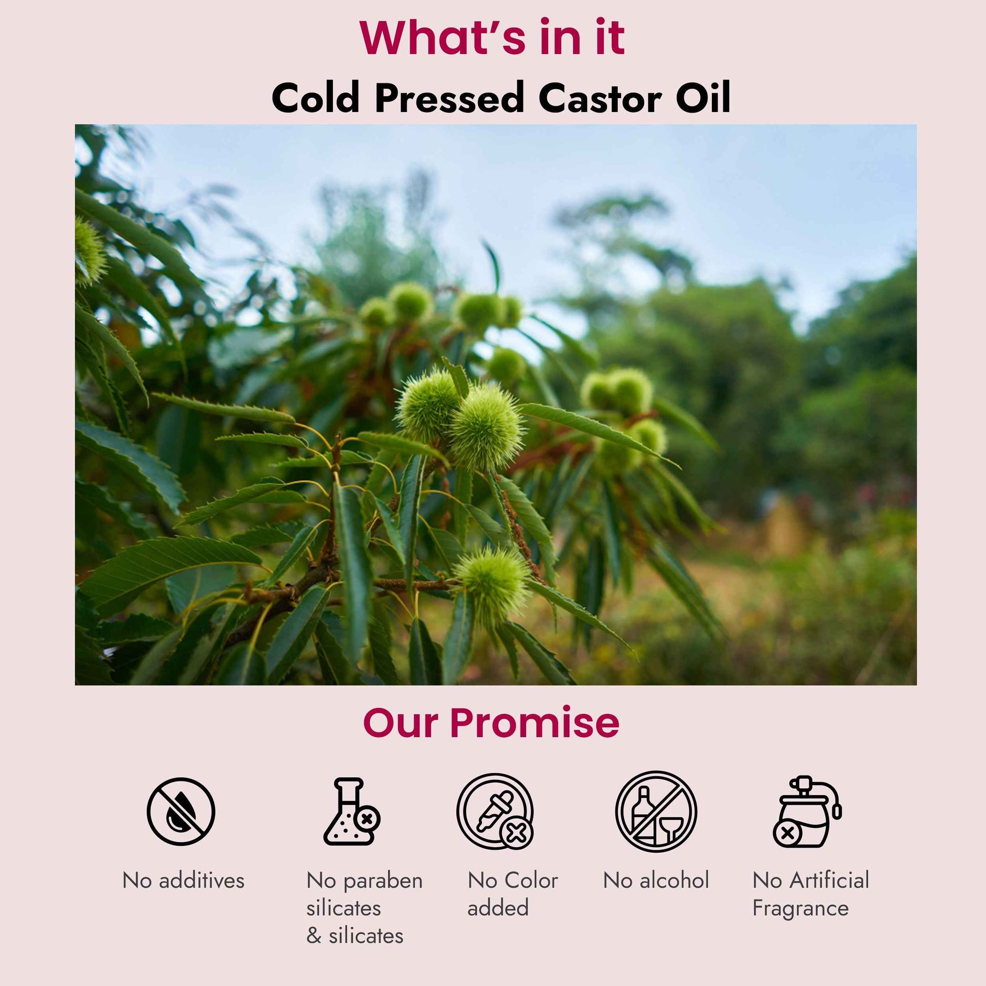 Castor Oil for Weak Roots & Face Cleansing: Strengthen Hair and Rejuvenate Skin