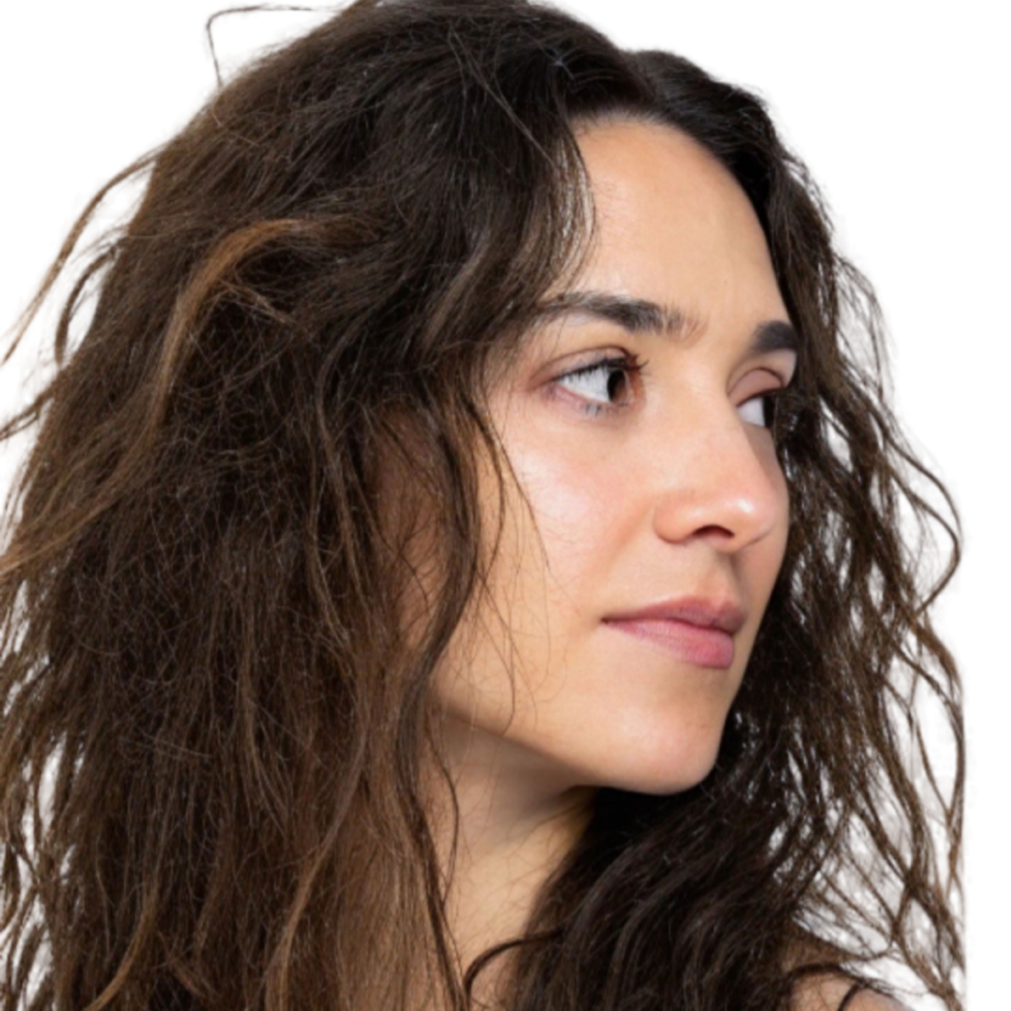 Dry, Damaged Hair Combo - SECRET TATTVA