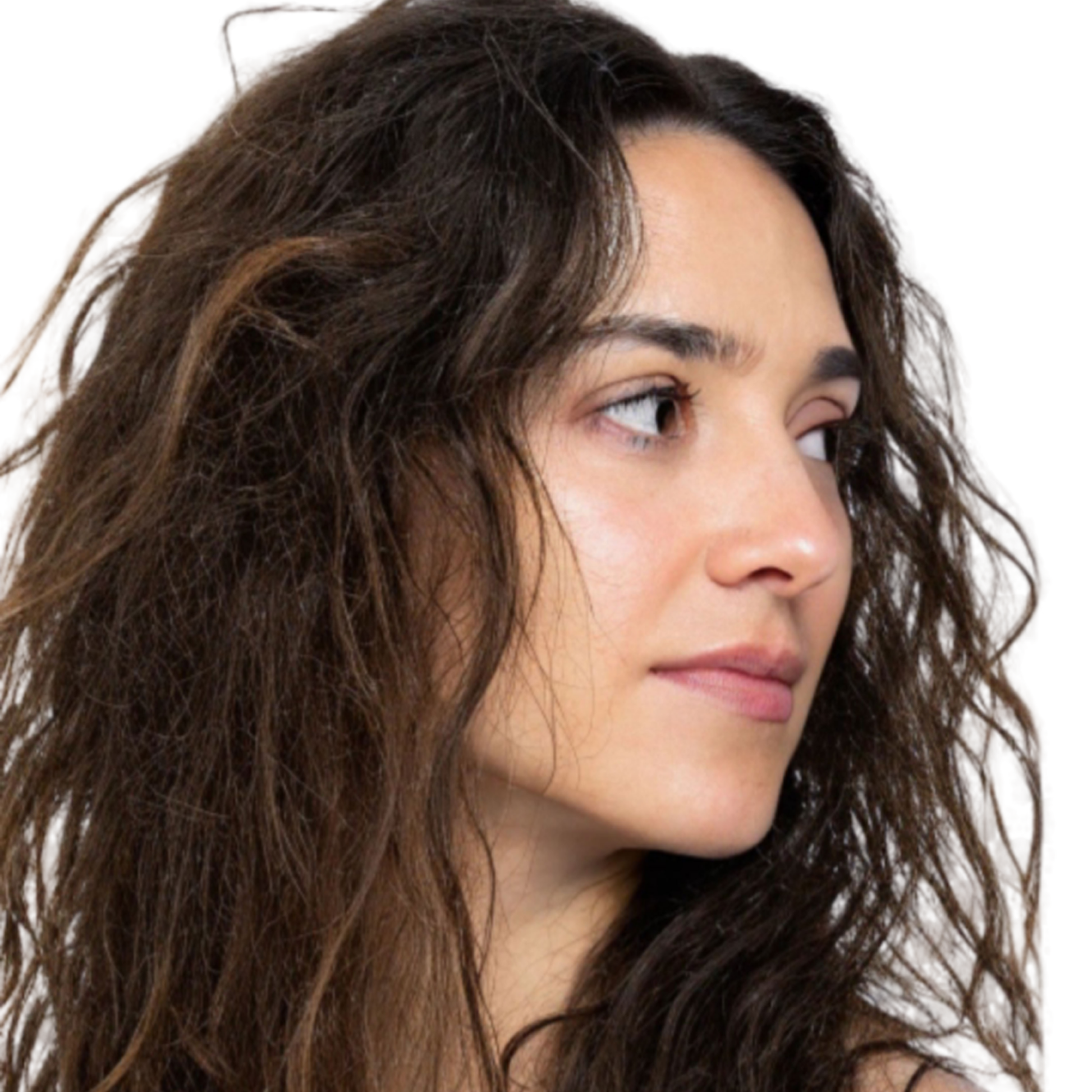 Dry, Damaged Hair Combo - SECRET TATTVA