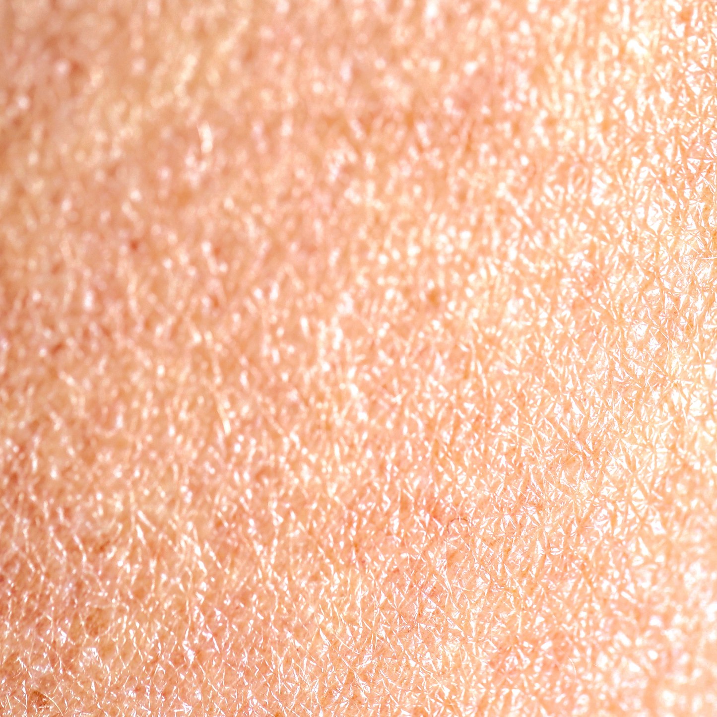 Dry Skin Combo - SECRET TATTVA