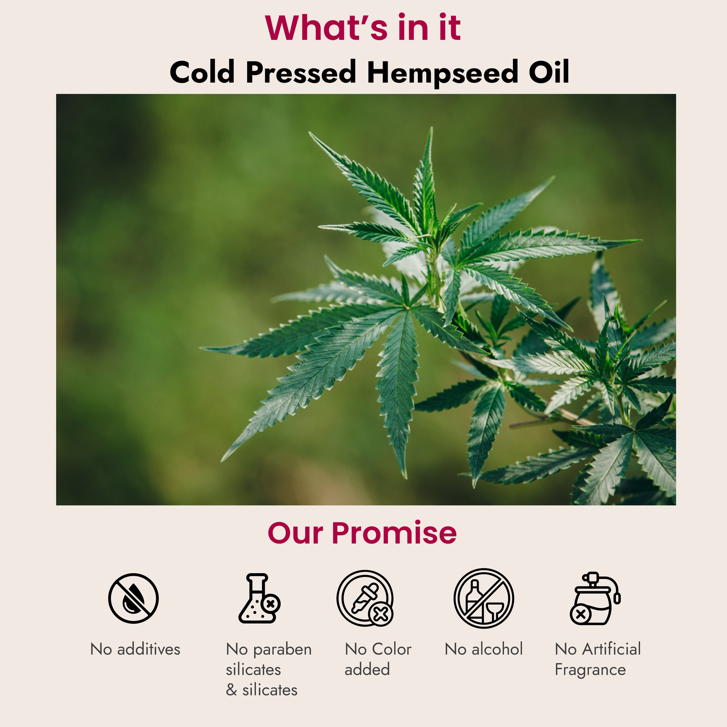 Hempseed Cold Pressed Oil