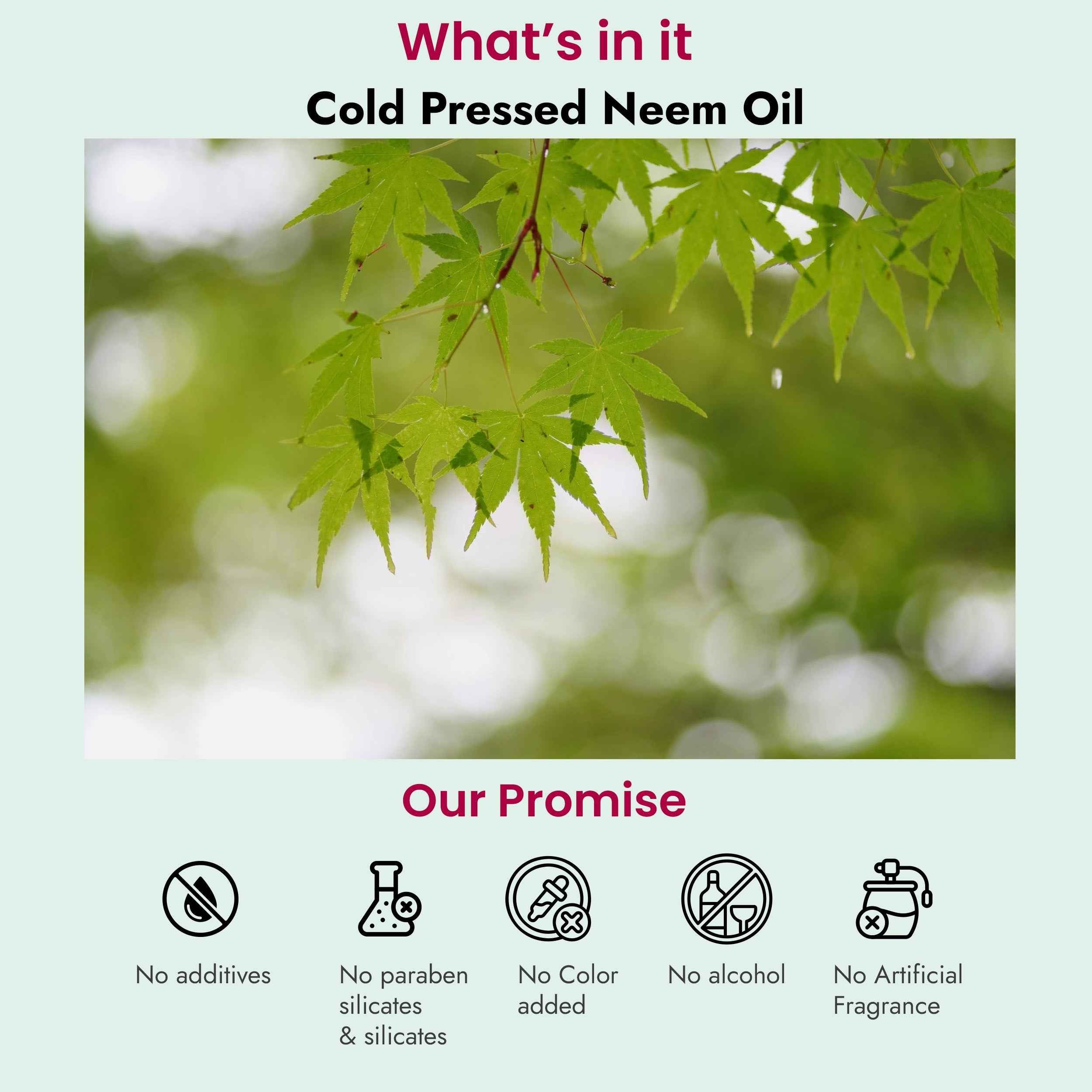 Neem Cold Pressed Oil for Acne & Dandruff