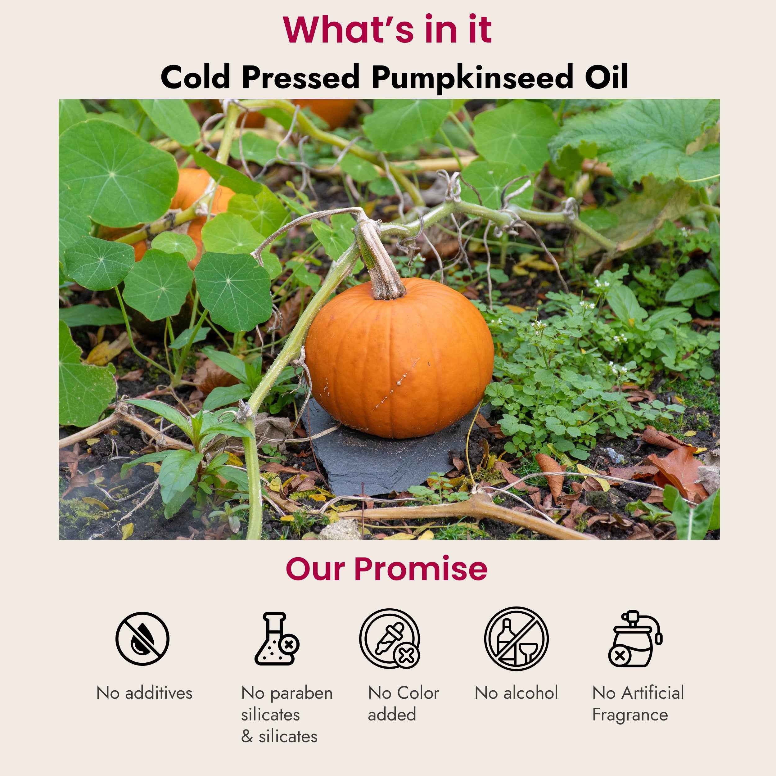 Pumpkinseed Oil for Hair Fall & Hair thinning