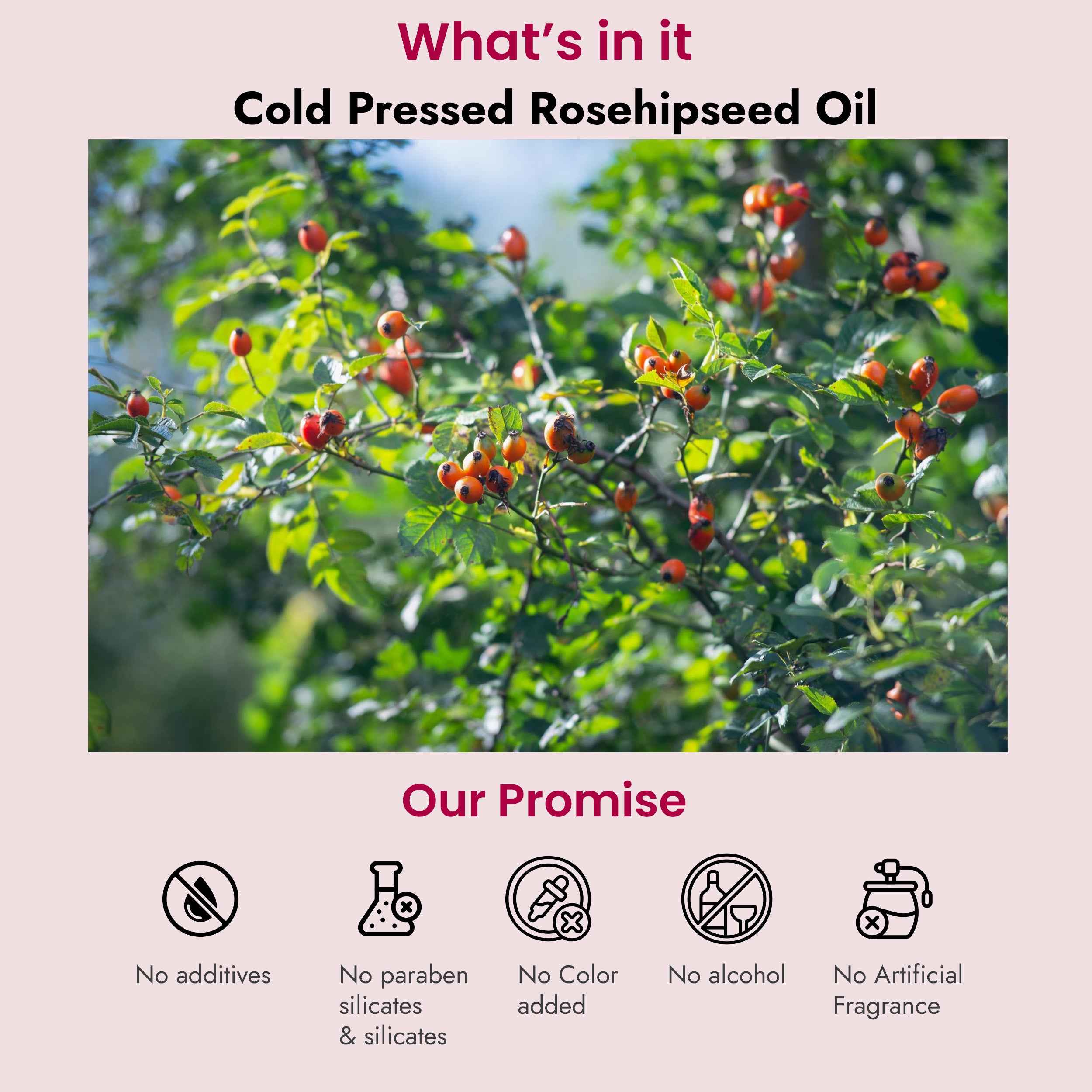 Rosehipseed Oil for Dark Spots, Pigmentation & Wrinkles