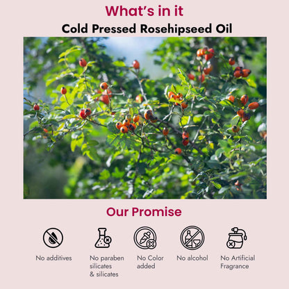 Rosehipseed Oil for Dark Spots, Pigmentation & Wrinkles