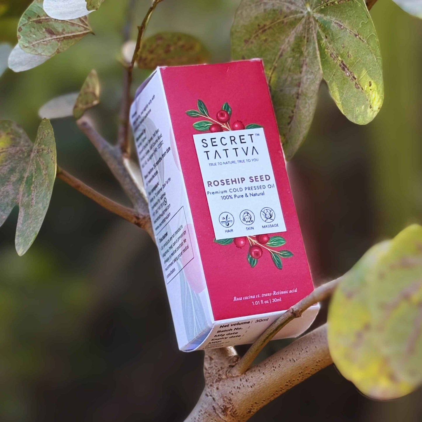 Rosehipseed Oil for Dark Spots, Pigmentation & Wrinkles