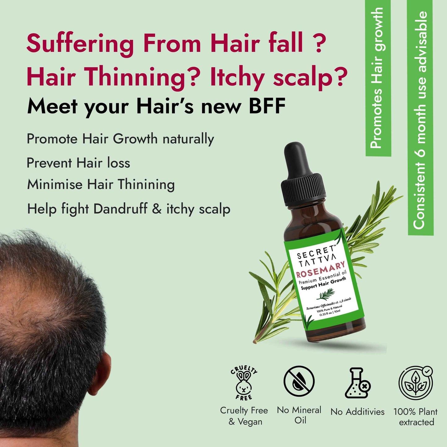 Rosemary Essential Oil - Hair Regrowth, Fall Control