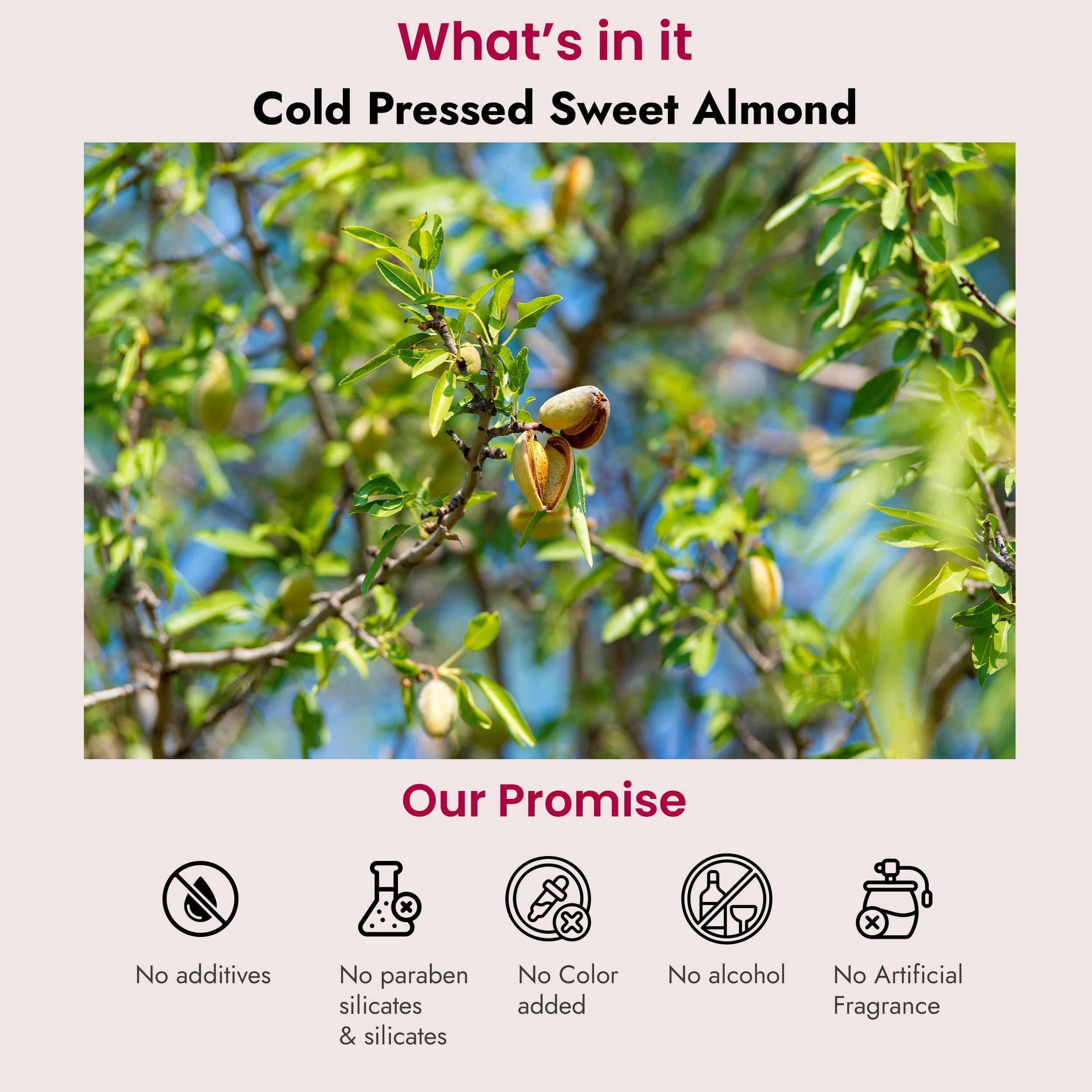 Sweet Almond for Hair Nourishment, Vitamin E rich, Fine lines
