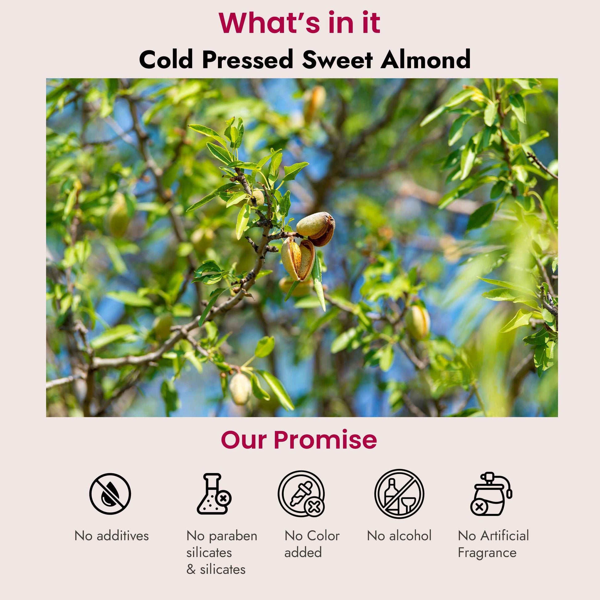 Sweet Almond for Hair Nourishment, Vitamin E rich, Fine lines